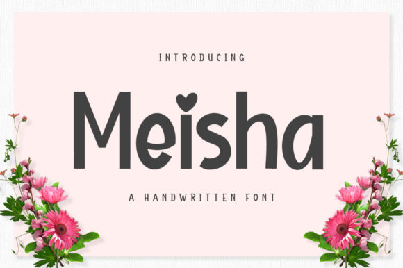 Meisha: A Bold Display Font